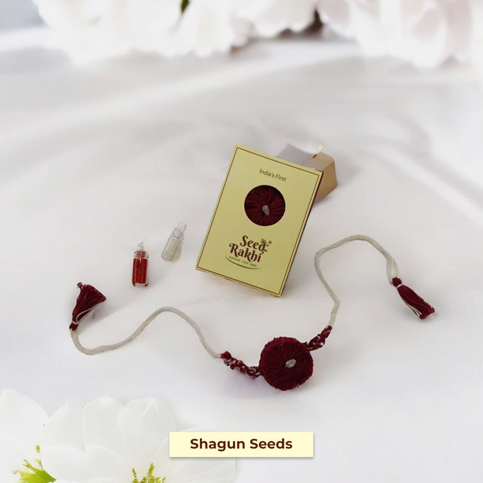 Shagun Eco-Friendly Seed Rakhi Set (1 Seed Rakhi + Roli Chawal + Greeting Card )