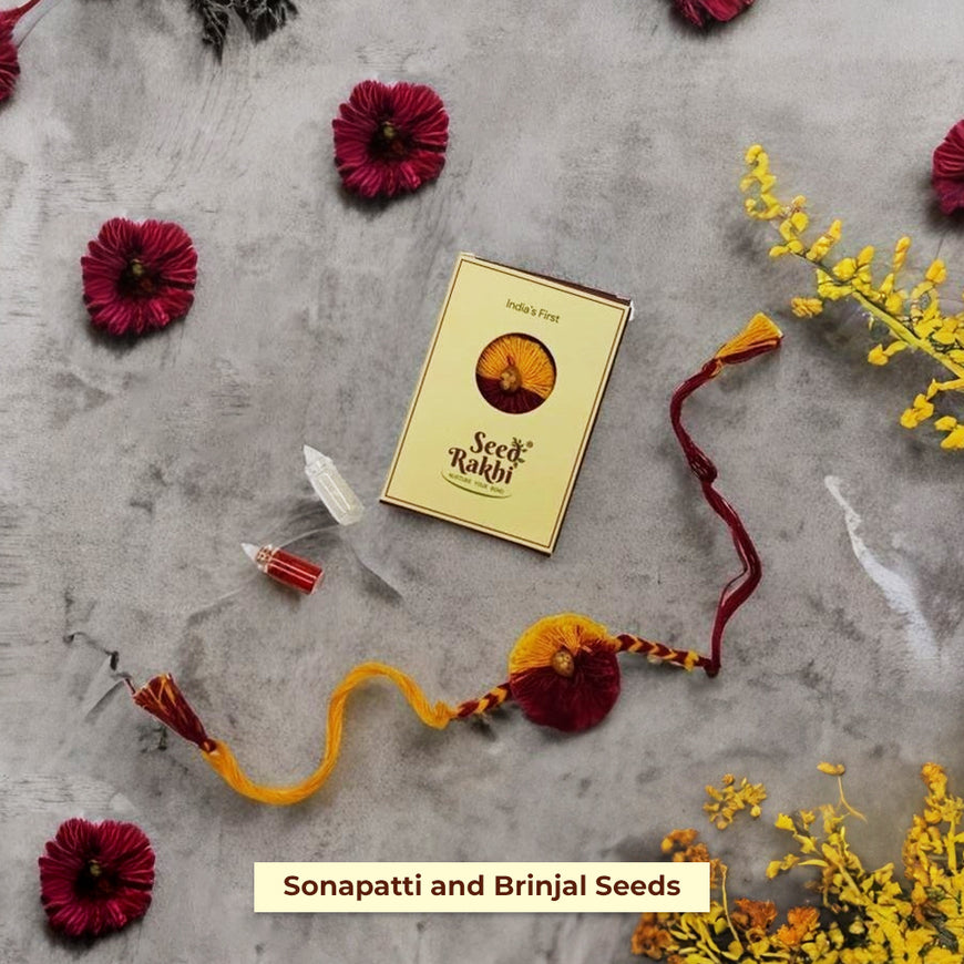 Saanjh Eco-Friendly Seed Rakhi Set (1 Seed Rakhi + Roli Chawal + Greeting Card )