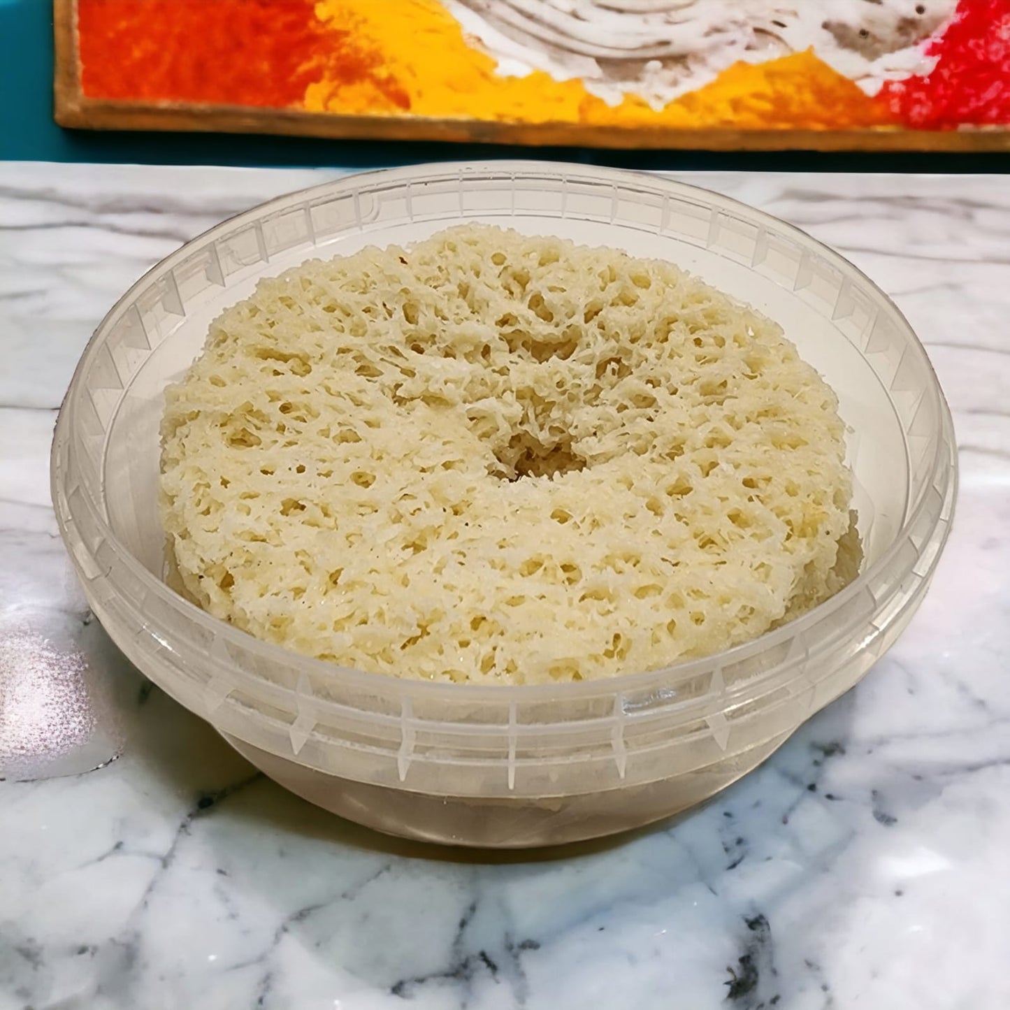 Ghewar Sada | Munda Ghewar | White Ghewar